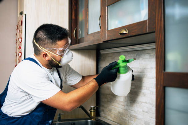 Best Rat Extermination Near Me  in Upper Sandusky, OH