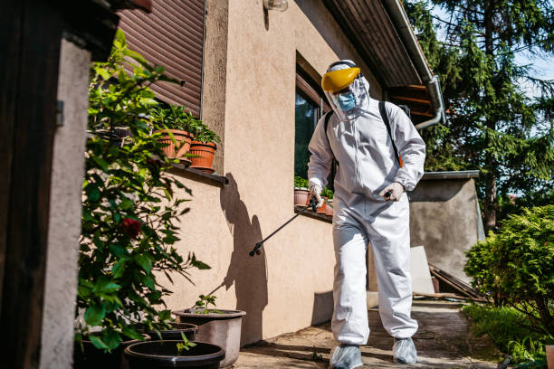 Best Mosquito Control Services  in Upper Sandusky, OH