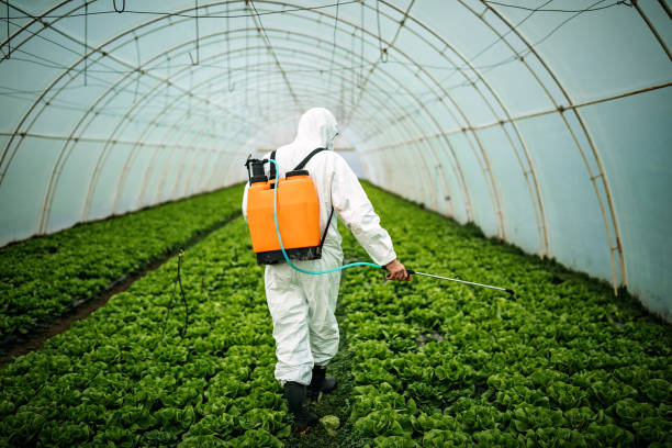 Best Commercial Pest Control Services  in Upper Sandusky, OH