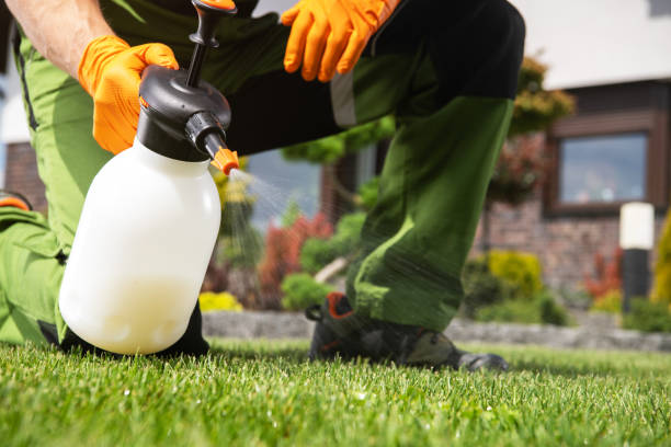 Best Insect Control  in Upper Sandusky, OH