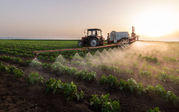 Trusted Upper Sandusky, OH Pest Control Experts