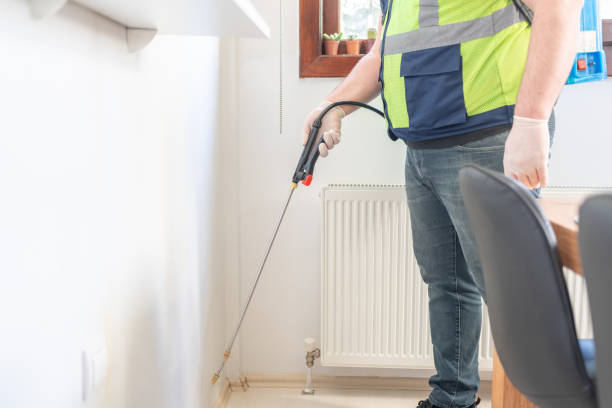 Best Ant Control Services  in Upper Sandusky, OH
